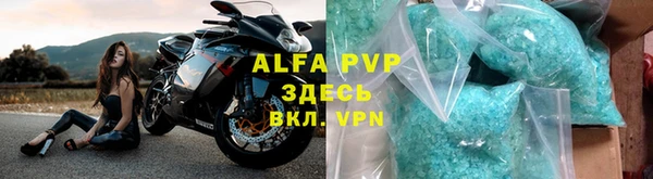 шишки Арсеньев