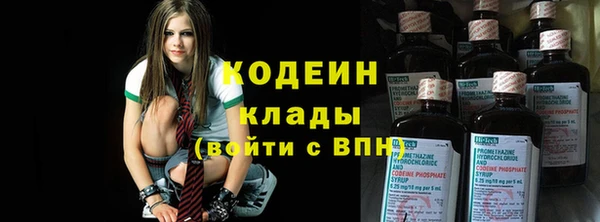 шишки Арсеньев