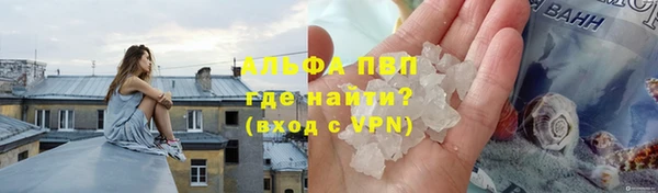 винт Алзамай